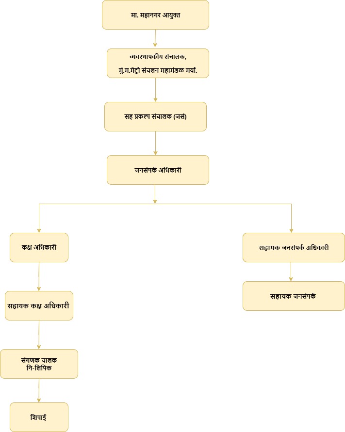 organisation chart