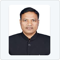 Additional Collector and Chief,