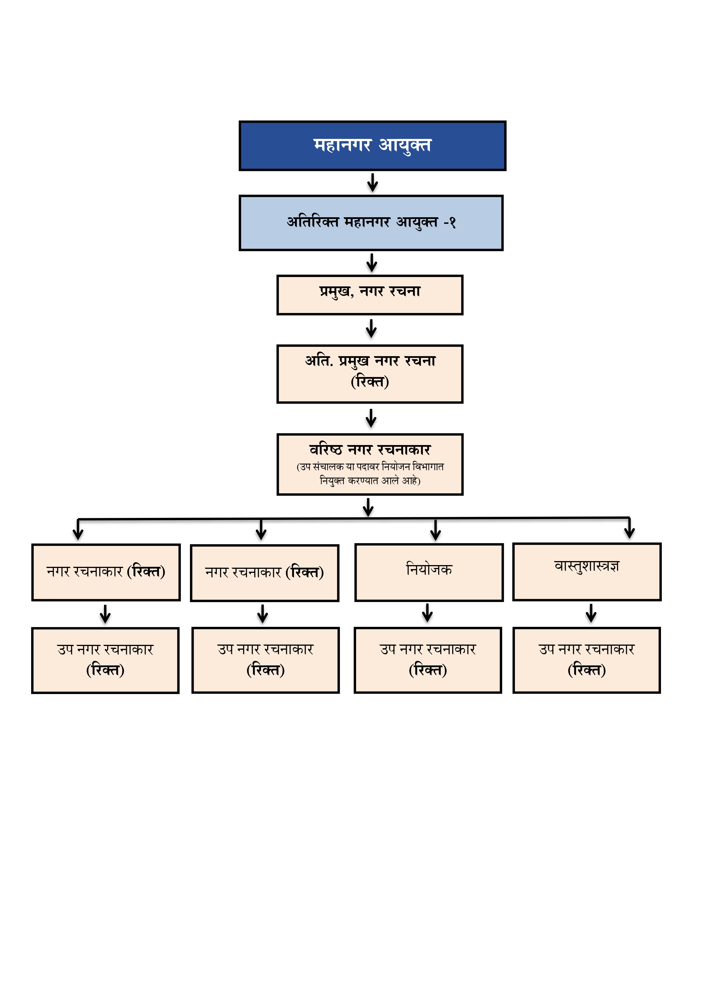 organisation chart