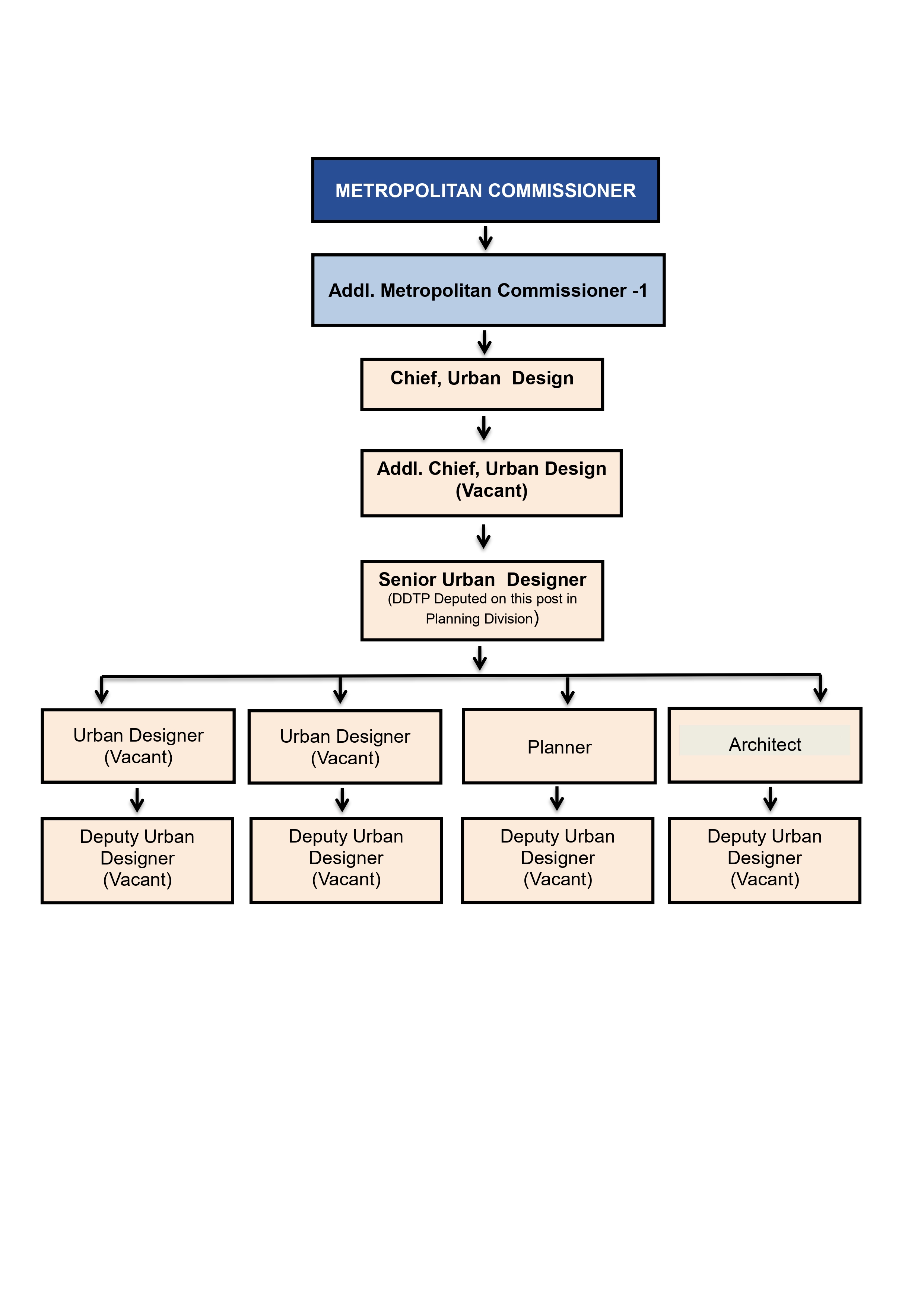 organisation chart