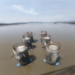 Design & Construction of Creek Bridge from Kasarvadavali to Kharbav